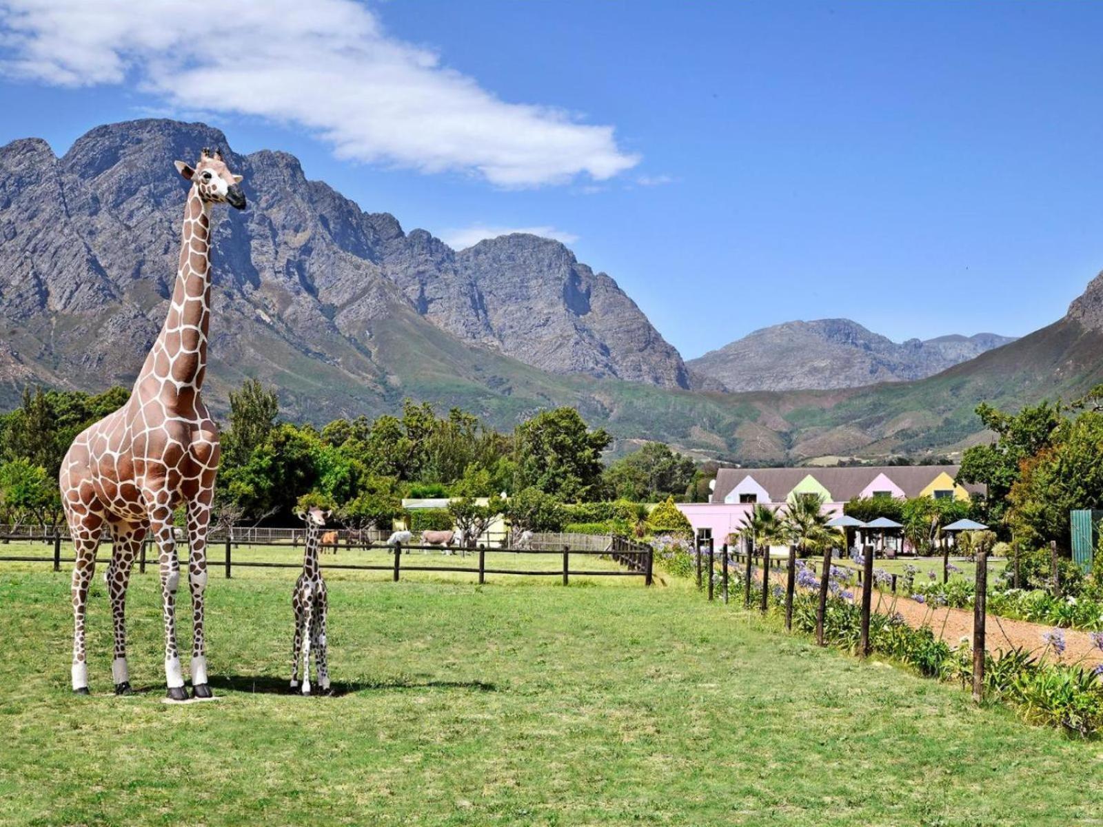 Auberge La Dauphine Guest House Franschhoek Exterior foto