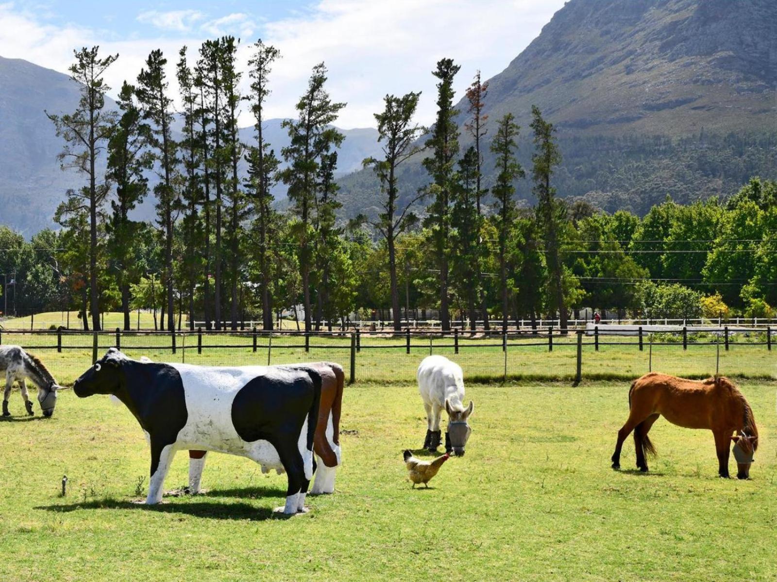 Auberge La Dauphine Guest House Franschhoek Exterior foto